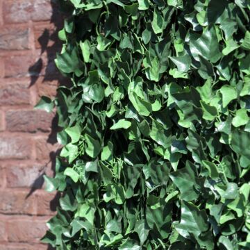 Hedera Helix kunstmat